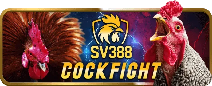 Trò Chơi Bài Bàn